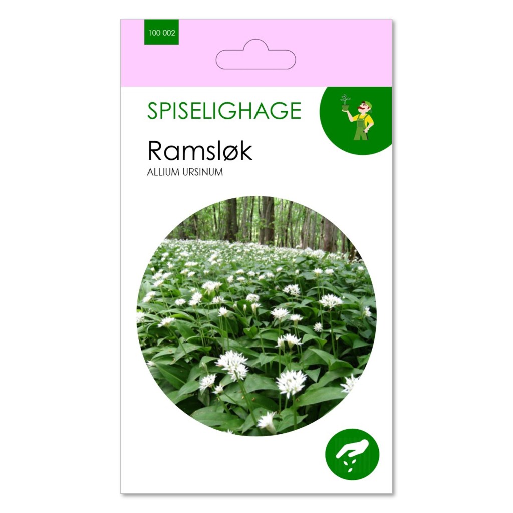SPISELIGHAGE® RAMSLØK - FLERÅRIG URT