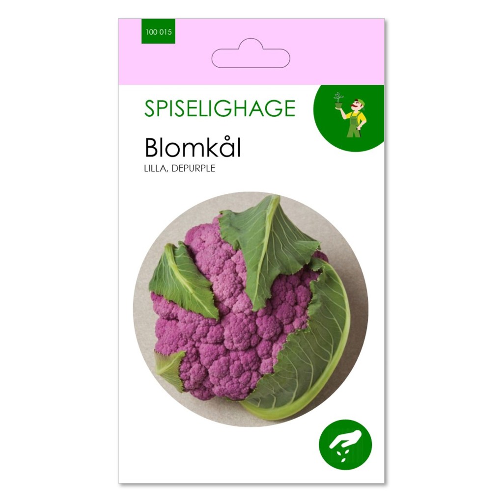 SPISELIGHAGE® BLOMKÅL- DEPURPLE