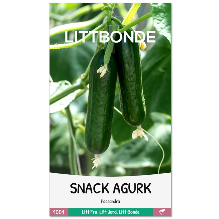 LITTBONDE® SNACK AGURK - Passandra