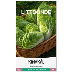 KINAKÅL - Brassica pekininsis L