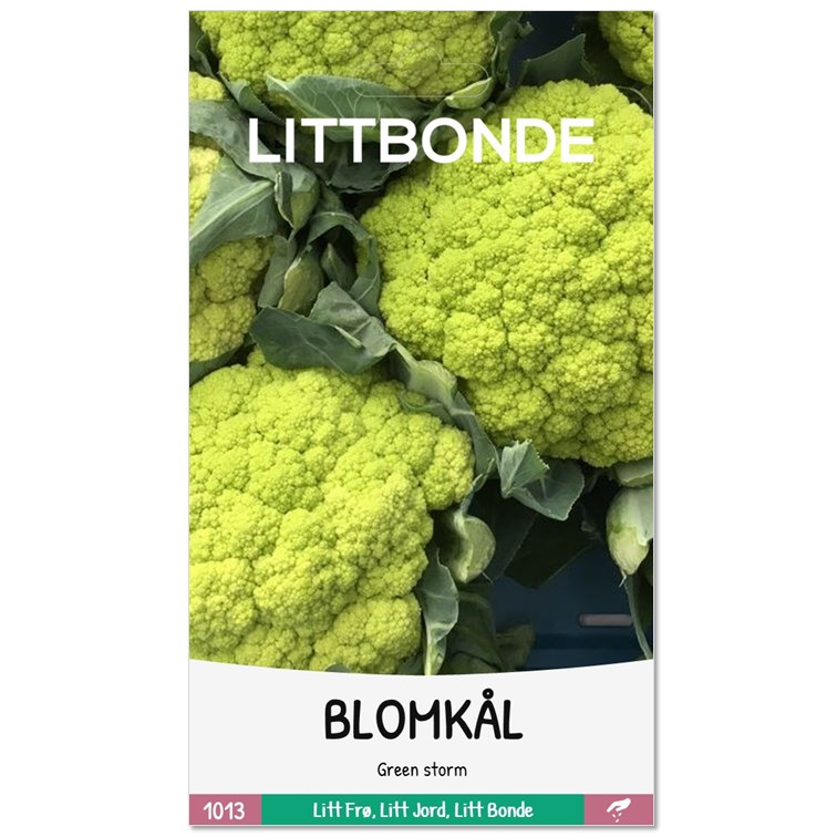 LITTBONDE® BLOMKÅL - Green storm