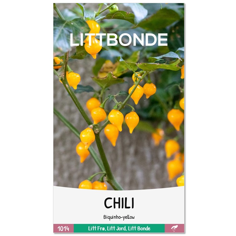 LITTBONDE® CHILI - Biquinho-yellow