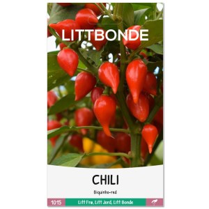 CHILI - Biquinho-red