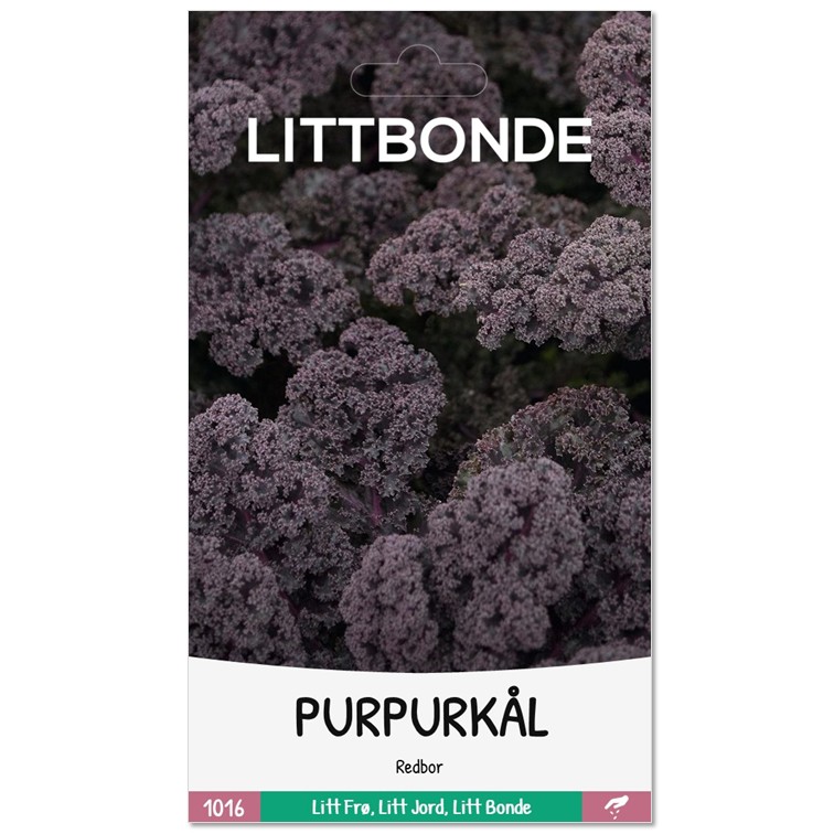 LITTBONDE® PURPURKÅL - Redbor