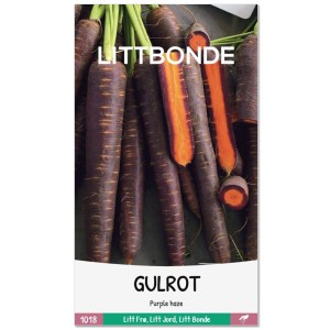 GULROT - Purple haze