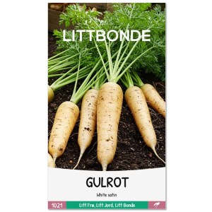 GULROT - White satin