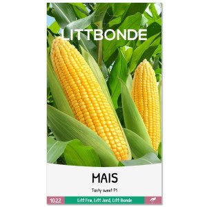 MAIS - Tasty sweet F1