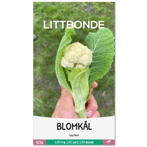 BLOMKÅL - Icestem
