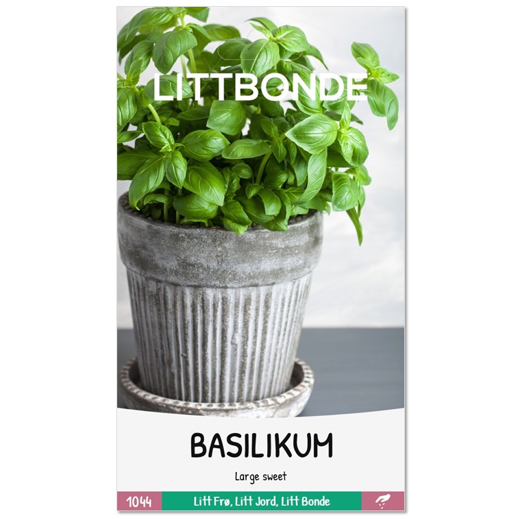 LITTBONDE® BASILIKUM - Large sweet