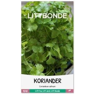 KORIANDER - Coriandrum sativum