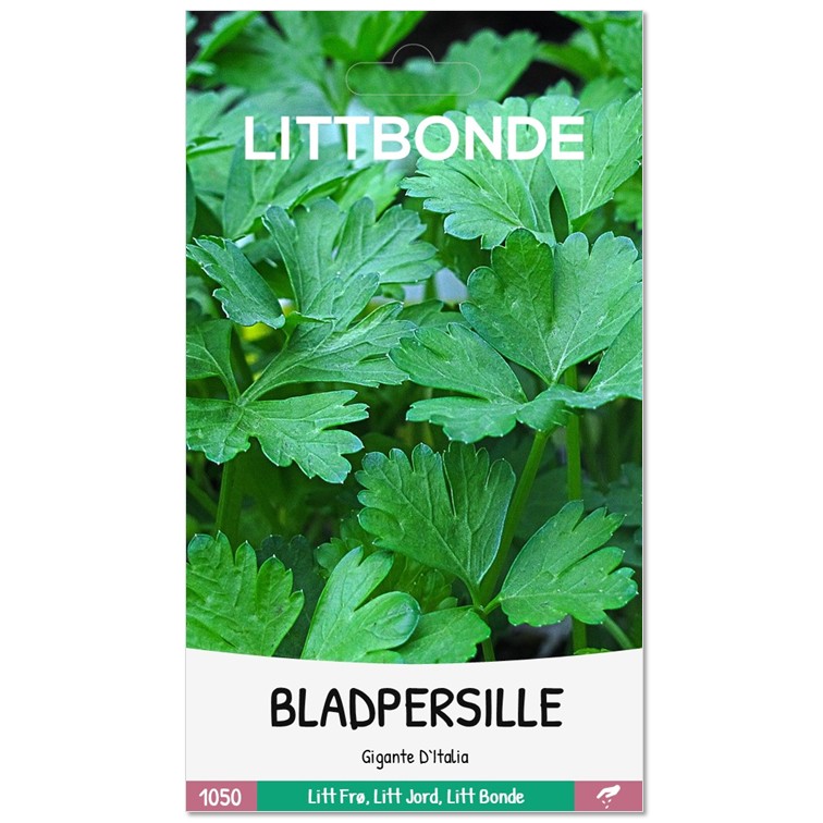LITTBONDE® BLADPERSILLE - Gigante D'Italia