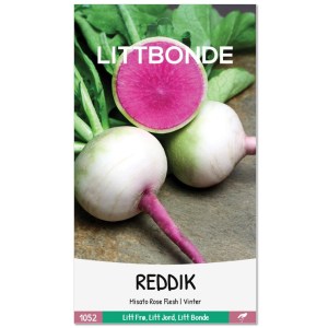 REDDIK - Misato Rose Flesh | Vinter