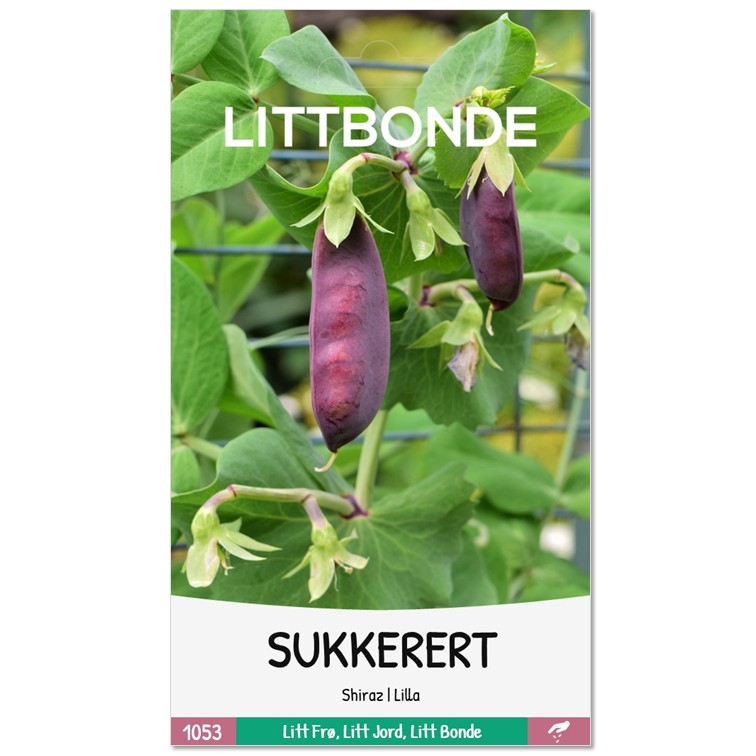 LITTBONDE® SUKKERERT - Shiraz | Lilla