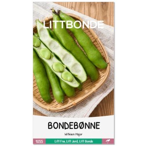 BONDEBØNNE - Witkiem Major