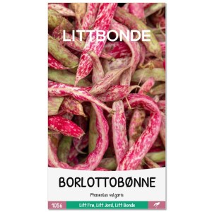 BORLOTTOBØNNE | P.vulgaris