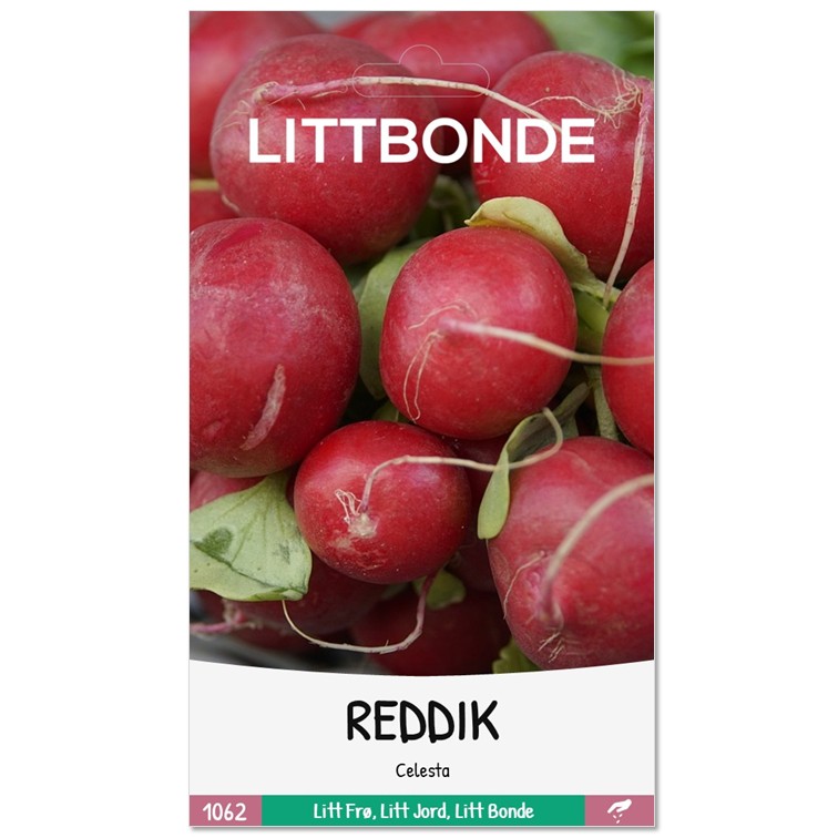 LITTBONDE® REDDIK - Celesta