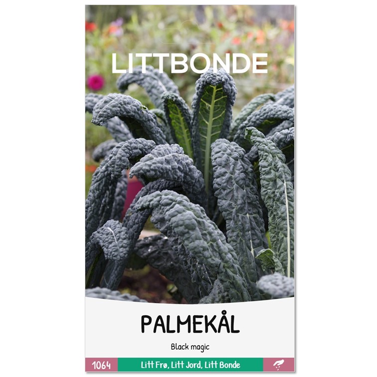 LITTBONDE® PALMEKÅL - Black magic