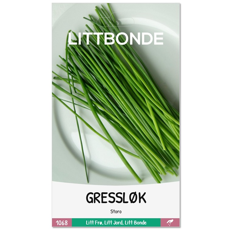 LITTBONDE® GRESSLØK - Storo