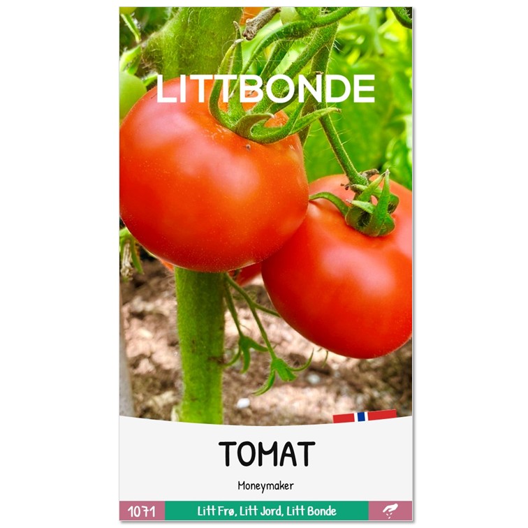 LITTBONDE® TOMAT - Moneymaker