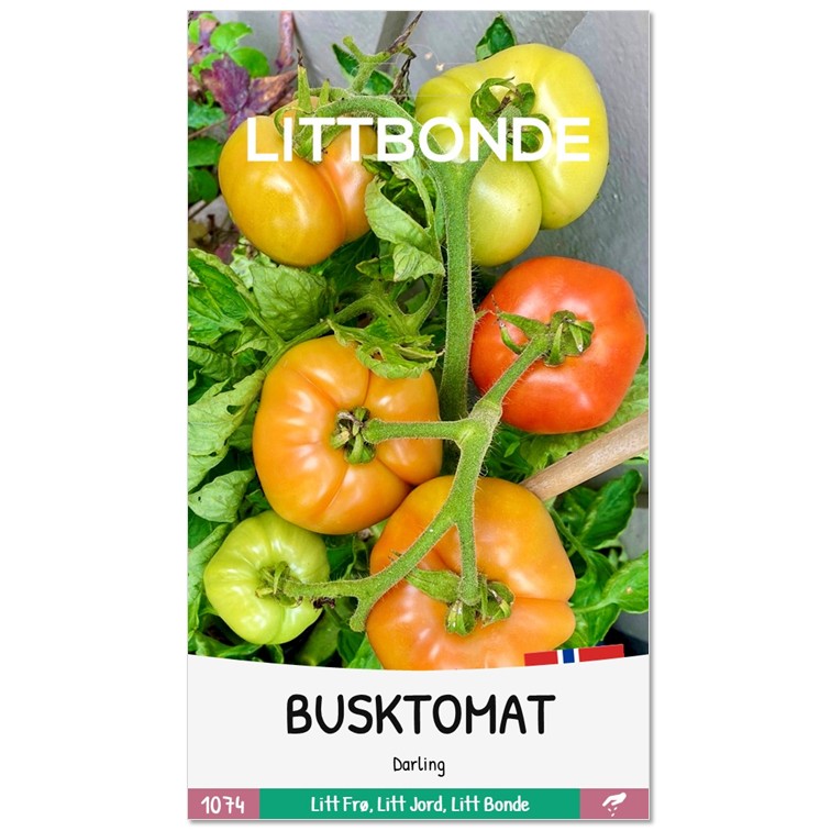 LITTBONDE® BUSKTOMAT - Darling