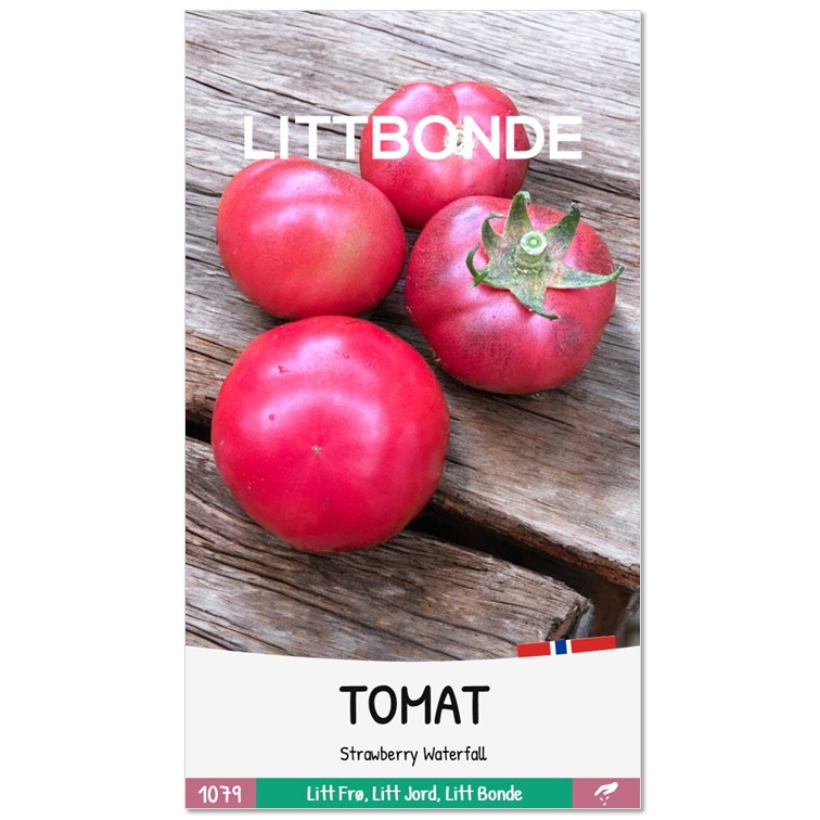LITTBONDE® TOMAT - Strawberry Waterfall
