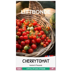 CHERRYTOMAT - Hundred & Thousands
