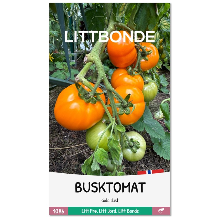 LITTBONDE® BUSKTOMAT - Gold dust