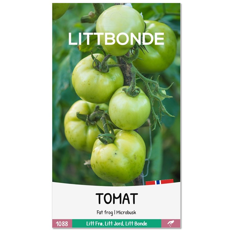 LITTBONDE® TOMAT - Fat frog | Microbusk