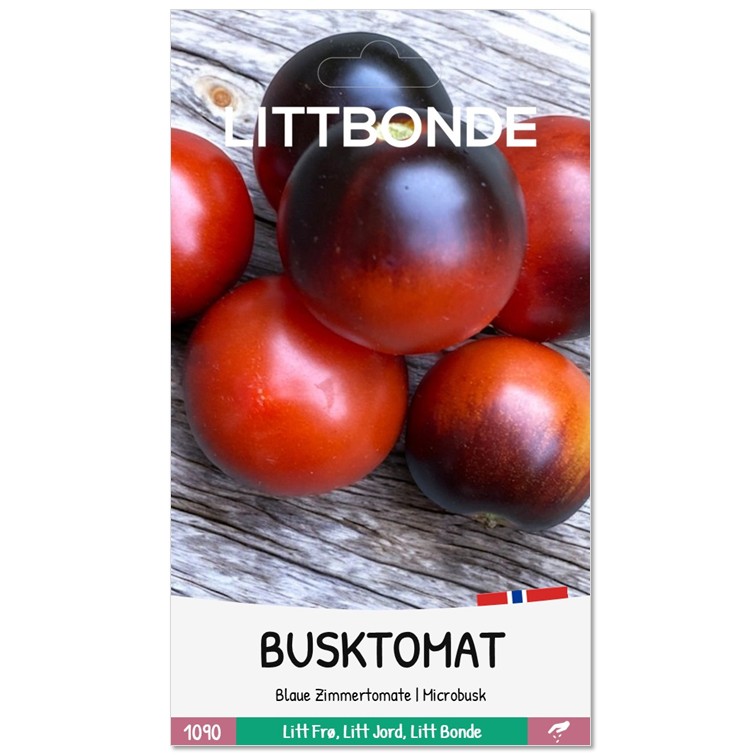LITTBONDE® BUSKTOMAT - Blaue Zimmertomate | Microbusk