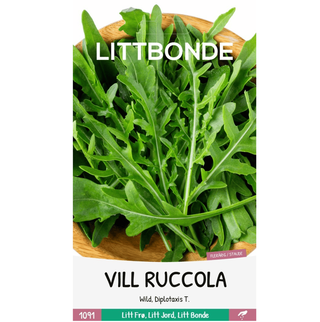 LITTBONDE® VILL RUCCOLA - Wild, flerårig