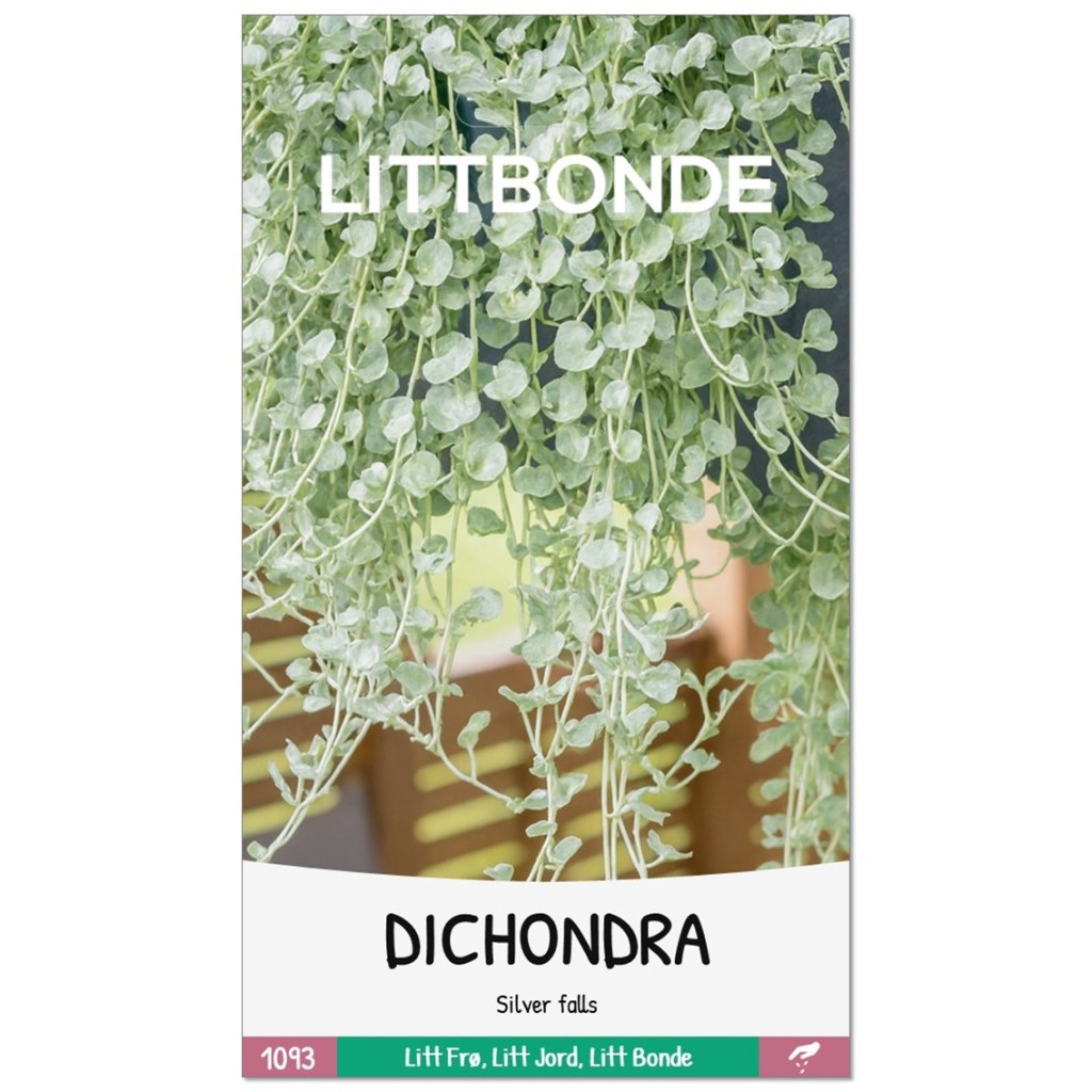 LITTBONDE® DICHONDRA -Silver falls