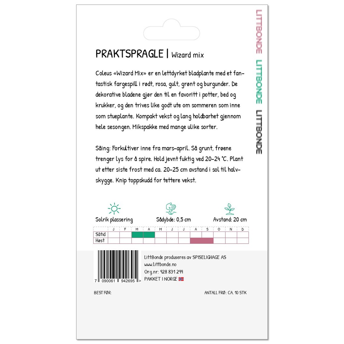 PRAKTSPRAGLE- Coleus «Wizard mix» - Bilde 2