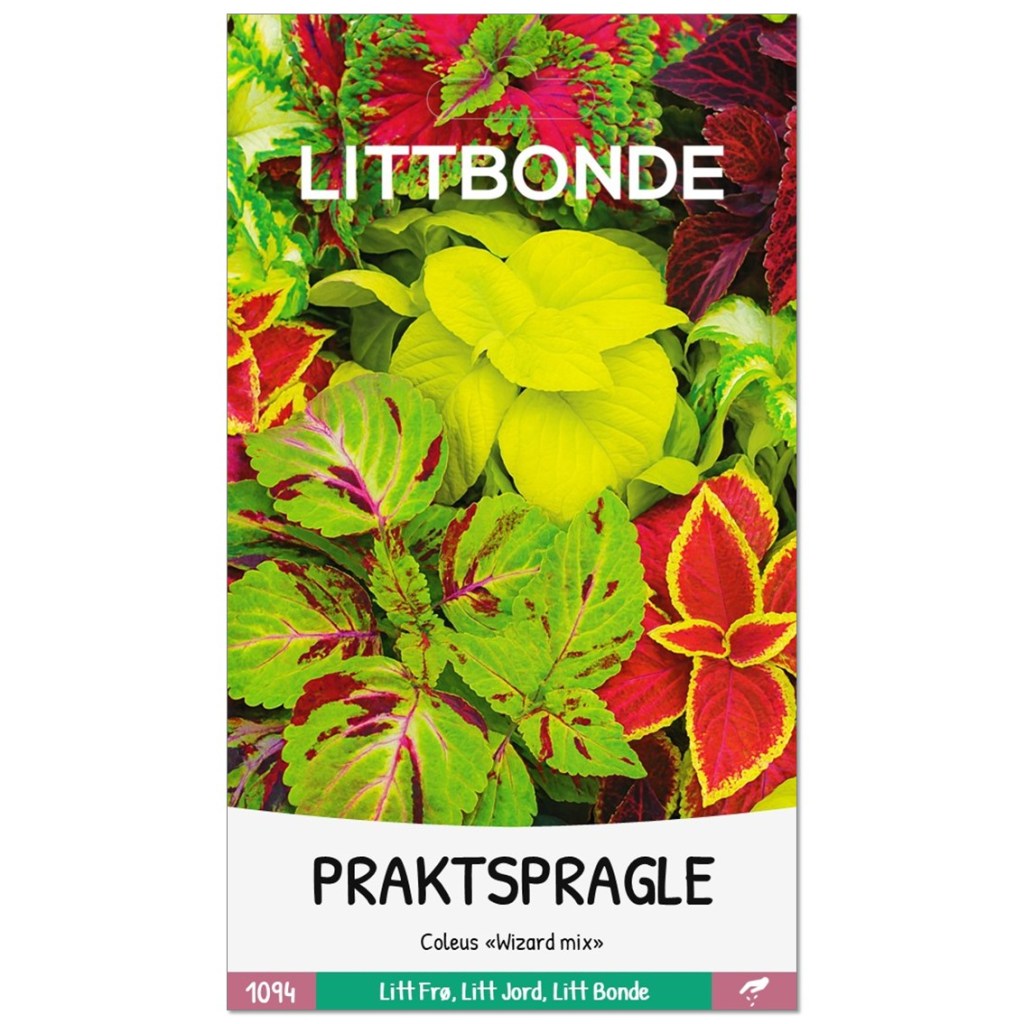 LITTBONDE® PRAKTSPRAGLE- Coleus «Wizard mix»