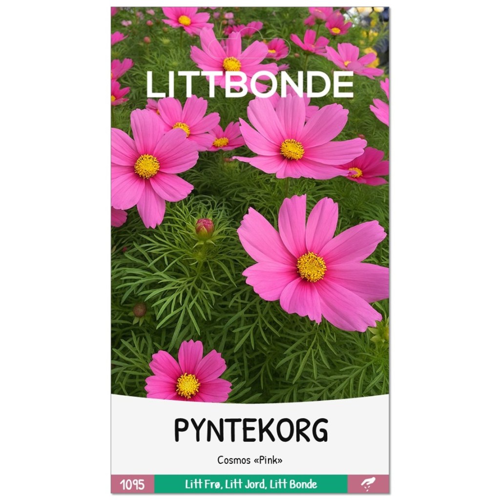 LITTBONDE® PYNTEKORG- Cosmos «Pink»