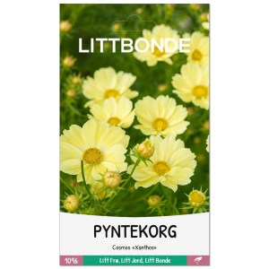 PYNTEKORG- Cosmos «Xanthos»
