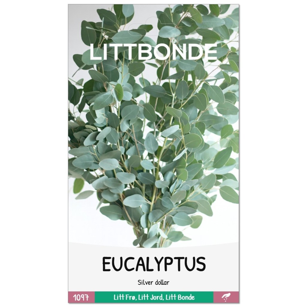 LITTBONDE® EUCALYPTUS- Silver dollar
