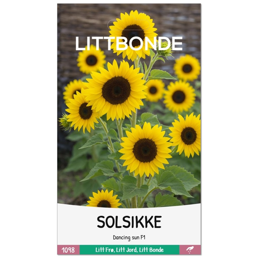 LITTBONDE® SOLSIKKE- Dancing sun F1