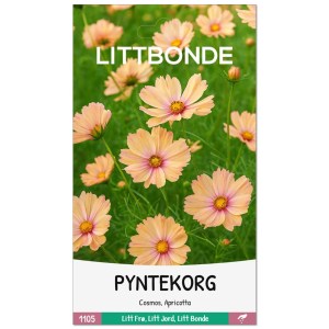 PYNTEKORG- Cosmos, Apricotta