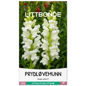 PRYDLØVEMUNN- Rocket white F1