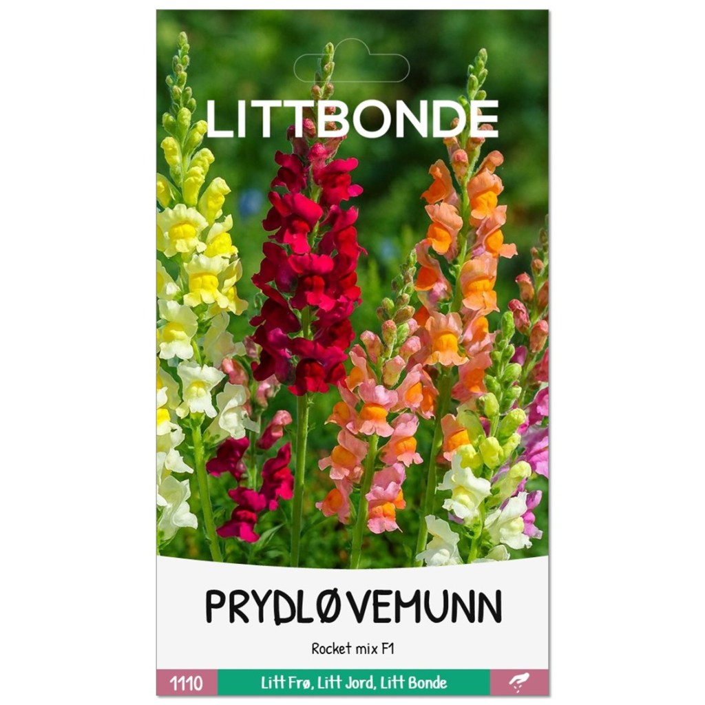 LITTBONDE® PRYDLØVEMUNN- Rocket mix F1