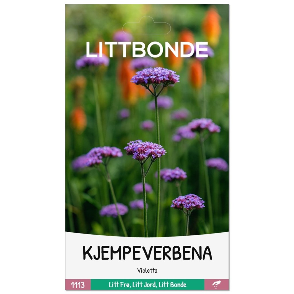 LITTBONDE® KJEMPEVERBENA- Violetta