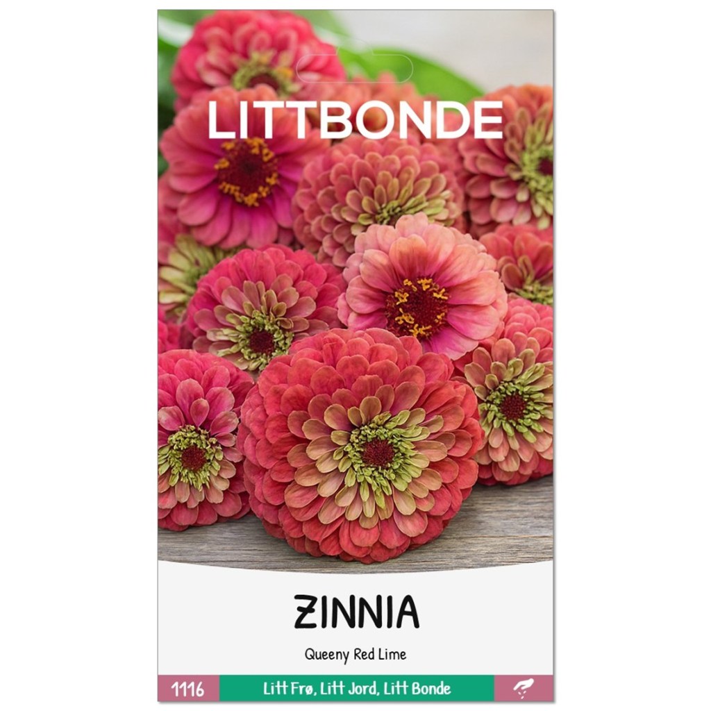 LITTBONDE® ZINNIA- Queeny Red Lime