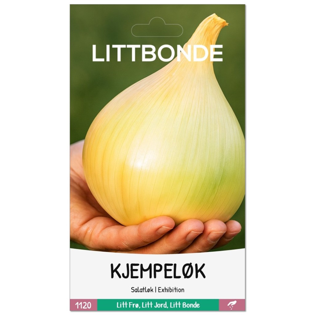 LITTBONDE® KJEMPELØK- Salatløk | Exhibition