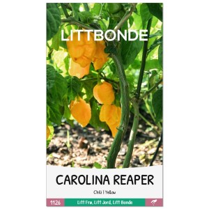 CAROLINA REAPER- Chili | Yellow
