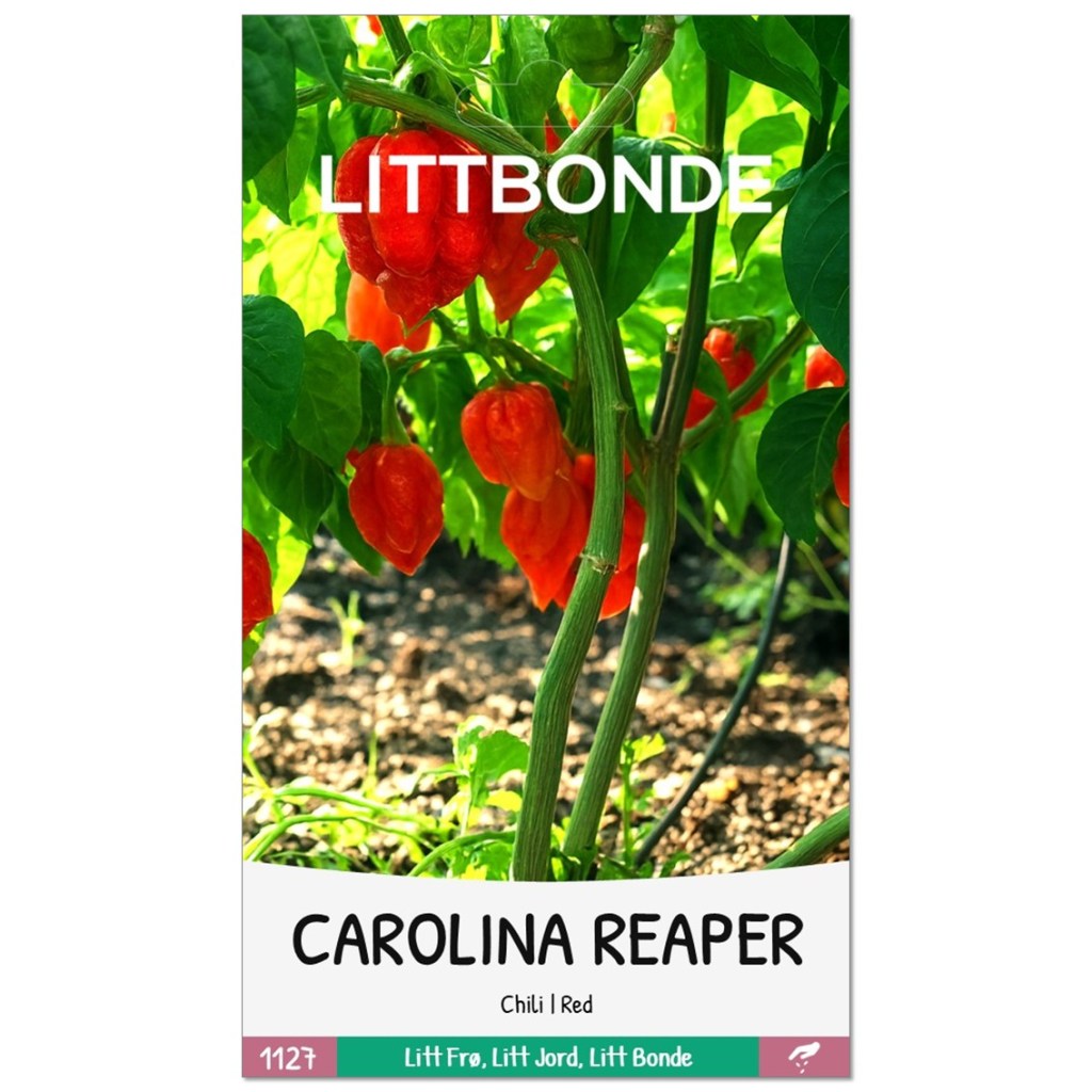 LITTBONDE® CAROLINA REAPER- Chili | Red