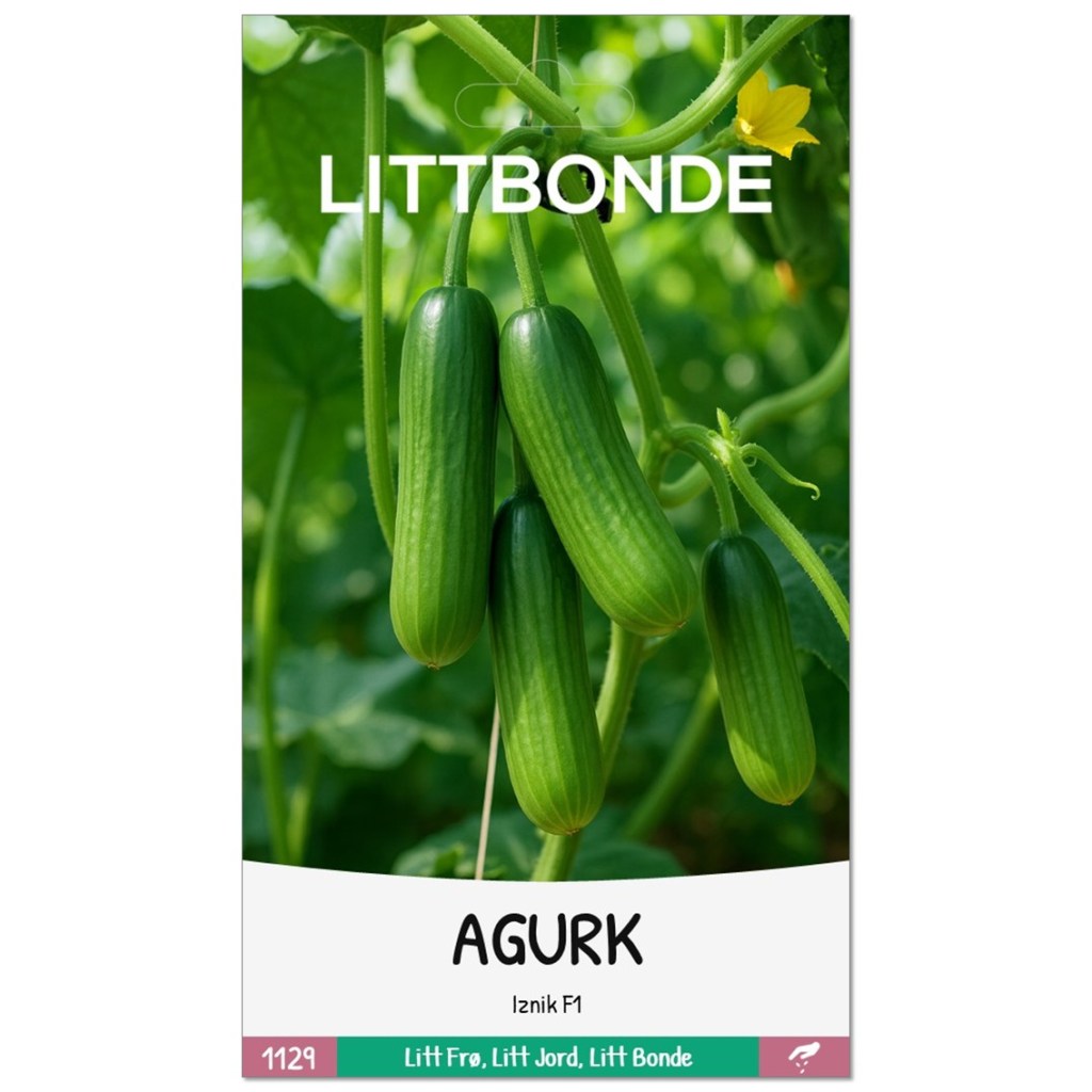 LITTBONDE® AGURK- Iznik F1