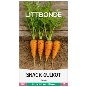 SNACK GULROT- Caracas