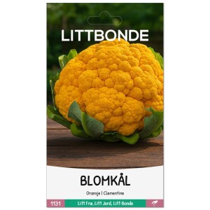 BLOMKÅL- Oransje | Clementine