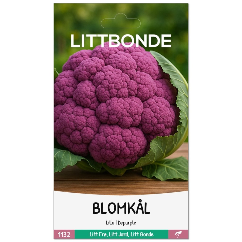 LITTBONDE® BLOMKÅL- Lilla | Depurple