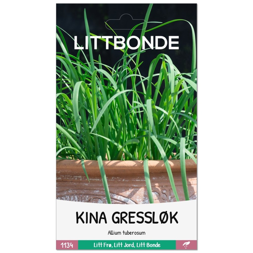 LITTBONDE® KINA GRESSLØK- Allium tuberosum